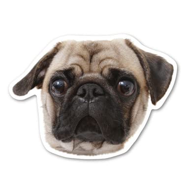 Pug Magnet