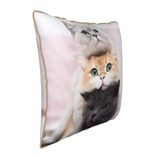 Housse de coussin en velours durable et confortable trois chats - 3