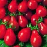 Contenido del paquete: paquete de semillas