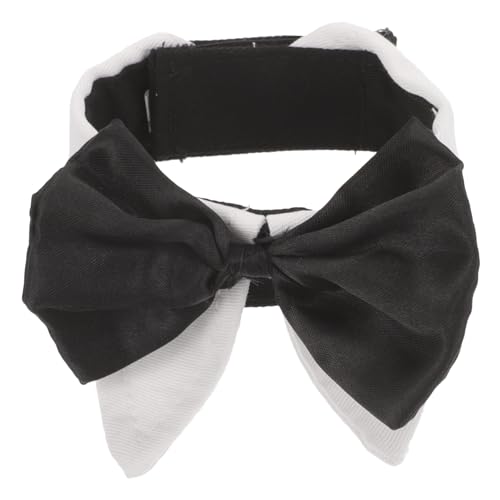 LOORGVEL ߉\ȃtH[}Lp _炩 ϋv ̎qɂK p[eB[NX}X̏W܂p^plNf