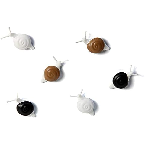 QUALY Fridge Magnet Deco Magnet Snails, Set of 6, Multi Coloured Cover