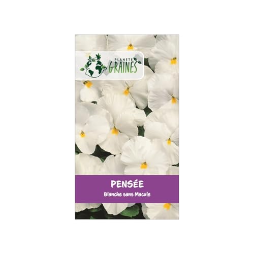 400 Graines de pensée 'Blanche sans macule' - Fleurs d'un blanc pur et velouté, idéales pour massifs, jardinières et bordures