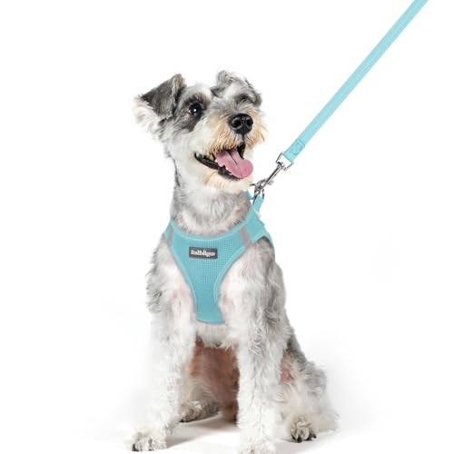 Image of rabbitgoo Dog Harness Medium Sized and Leash Set, Step-in Puppy Pet Vest