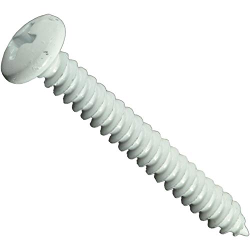 Tornillos roscachapa blancos difíciles de encontrar para reparar paneles