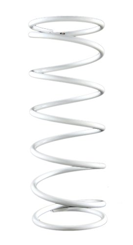 2911084.W0 Contropressione Piuma Malossi Bianco/Lang