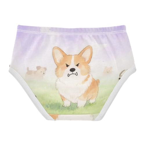 GuoChe Cotton Briefs Elastic Waistband Panties Comfort Underwear for Toddler in Sizes 2T,3T, 4T, 5T, 6Y and 8Y2