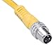 Brad 4030P1A10M020 Nano-Change Single-Ended Cordset with Indicating LED, Female Right Angle, 3 Pole, UL 2661 Cable Type, PVC (A10) Cable Jacket, 24AWG Wire Size, 4.0A Max Current Rating, 30V AC/DC Max Voltage, 2.0m Cable Length (Pack of 4)