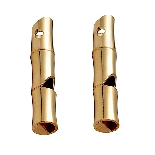 MUSISALY 2^J |[^uzCbX Lv AEghA ً}p ToCo h h pi |߃fUC y gѕ֗