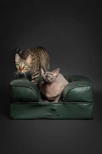 Image of NOAH & PAW Small Dog Bed, 20x15x8 Inch, Cat Bed for Indoor Cats, Orthopedic Eggshell Memory Foam Infused with Cooling Gel, Water Resistant Inner Cover Machine Washable (Faux Leather)