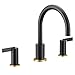 Moen T6223BL CIA Collection 2-Handle High-Arc Deck Mount Roman Tub Faucet Trim Kit, Valve Required, Matte Black with Optional Brushed Gold Accents