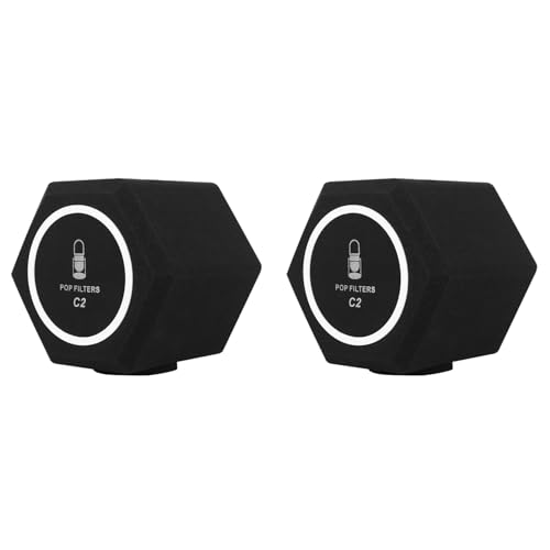 2X C2 Microphone Filter Wind Shield pour studio enregistrement