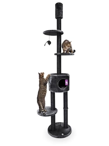 Petrebels Kratzbaum Deckenhoch Höhenverstellbar 245-265 cm, mit Deckenspanner, Anna 265, Farbe Schwarz