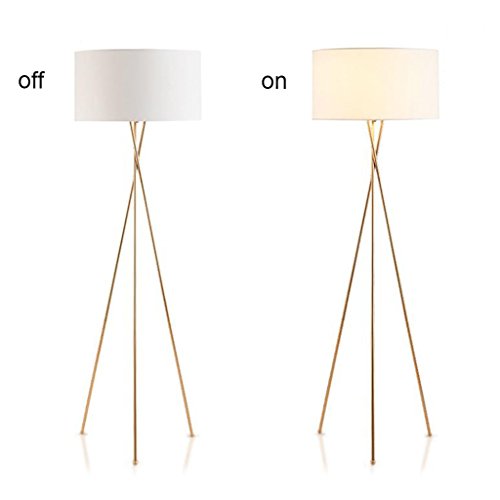 Lampes de plancher créatives avec télécommande pour chambre et salon