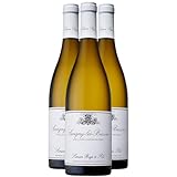 vin savigny les beaune 2010 Cépage Chardonnay Savigny-lès-Beaune - Blanc 2018 - Domaine Simon Bize - Vin Blanc de Bourgogne (3x75cl)