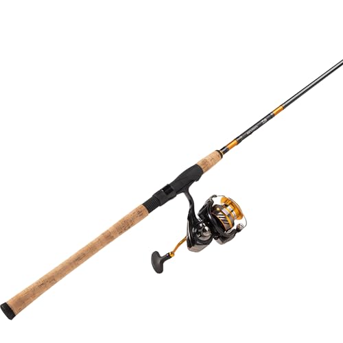 Daiwa REVROS LT combo de pesca RVRLT40-4BI G902M para tus fines de semana