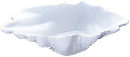 Royal Tropical Shell, Deep Type, 13.0 inches (33 cm), White No. 180