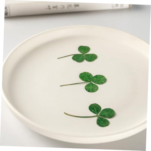 24 hojas de trébol prensado para manualidades DIY miniatura 4