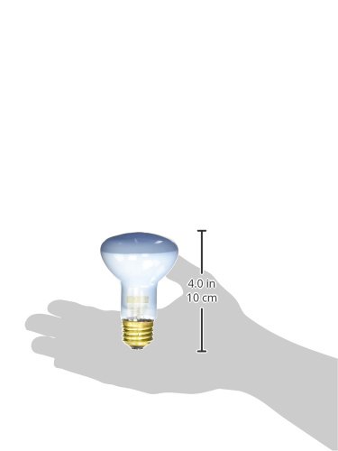 Exo Terra Daylight Basking Spot Lamp, 75 W, 1 Count (Pack of 1)