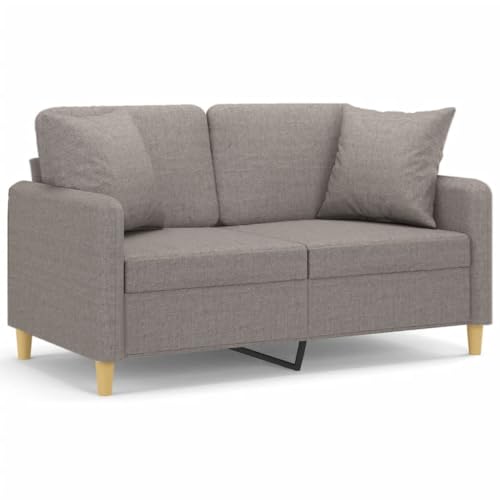 Sofá de 2 plazas de tela moderna y estructura de metal de 138 cm con cojín decorativo 2