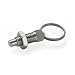 Produktbild Ganter Normelemente GN 717-4-M6-AK-NI - Edelstahl-Rastbolzen, Silber, 2 Stück