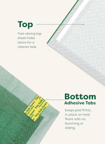 Image of Regular [L] Puppy Pee Pads, Discreet Top, Max Absorbency, 75CT