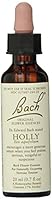 Algopix Similar Product 2 - Nelson Bach Flower Holly, 0.04 lb