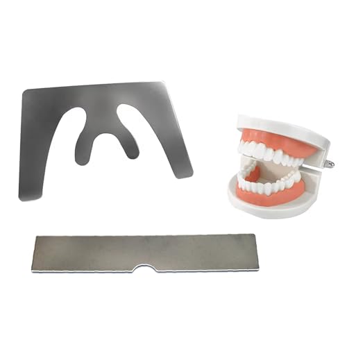 Image of Dental Stainless Steel Fox Plane Plate Autoclavable Occlusal Maxillary Casting Jaw Plate for Fabricating Dentures