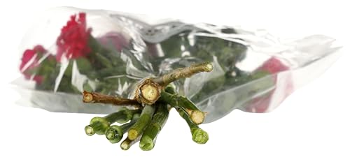 Floral Happiness Bouquet, 1 Ea3