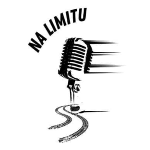 Couverture de Na limitu