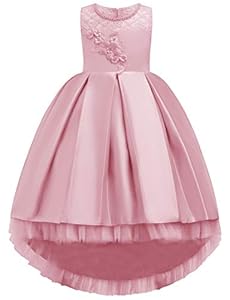 JOYMOM Girls Hi-Lo Lace Embroidery Pageant Wedding Flower Girl Ball Gowns FBA | Amazon price tracker / tracking, Amazon price history charts, Amazon price watches, Amazon price drop alerts | camelcamelcamel.com JOYMOM Girls Hi-Lo Lace Embroidery Pageant Wedding Flower Girl Ball Gowns FBA | Amazon price tracker / tracking, Amazon price history charts, Amazon price watches, Amazon price drop alerts | camelcamelcamel.com