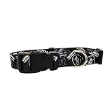 Littlearth NFL Las Vegas Raiders Unisex NFL Las Vegas Raiders Pet Team Halsband, Team-Farbe, S