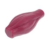 NOLITOY Anatomisches Muskelmodell Lb Realistische Lehrmodell Für Bildungszwecke Fitnessunterricht Und Anatomiestudium Ohne Sockel