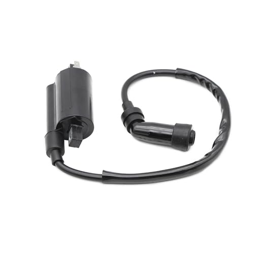 Bobina de encendido para restaurar el motor de motos DF200 y DR125 3