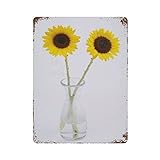 Matériau du fer : production de fer de haute qualité, image haute définition, durable, anti-décoloration, mode rétro.