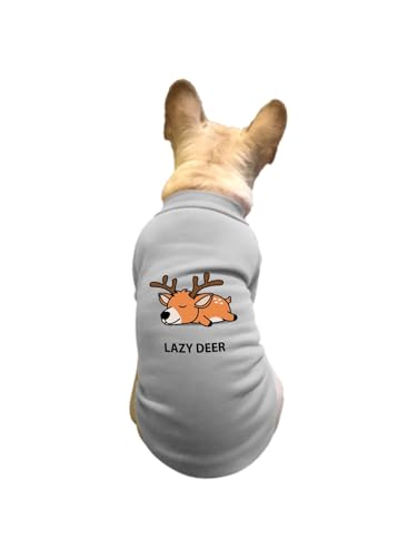 ���� ���킢�� �� �y�b�g�� T�V���c �H�~ �g���[�i�[ �L�� �h�� �g���� �J�W���A�� ������� ������ ���[���E�F�A ���� �E�ѕی� ���o���� �U�� M