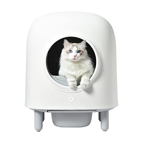 14 Best Cat Box For Multiple Cats (March2024)