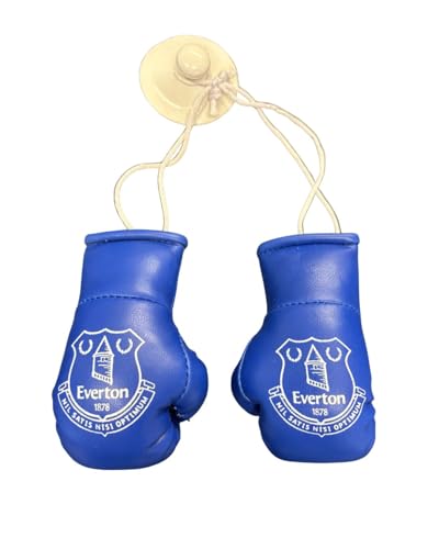 Image of Everton FC Car Hanging Boxing Gloves