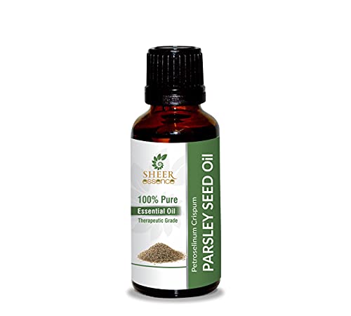 parsley petroselinum