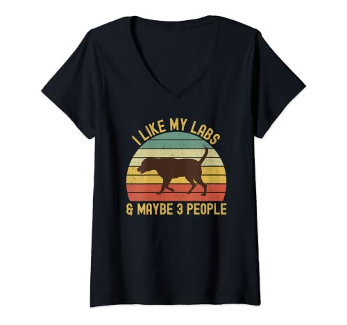 Mujer Chocolate Lab Labrador para mamá papá niños I Like My Labradors Camiseta Cuello V