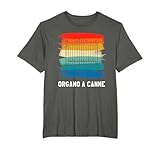 Organo a canne Regalo per un organista Retro Classic Vintage Organo A Canne Strumento Organista.