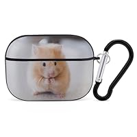 popcory♡二点セット 期間限定おまけ付き！】ARCHI アーキローダウンリンクプレート