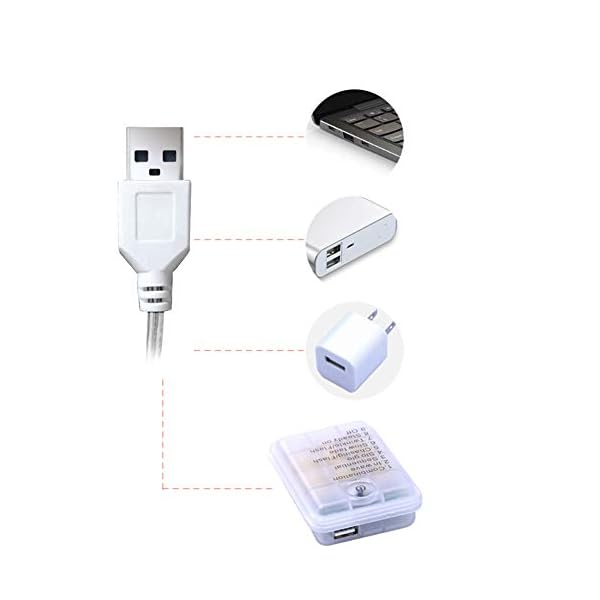 2 Set Lichterketten 10m 100 LED Batteriebetriebene Lichterketten mit Fernbedienung & Batterie & USB LED Lichterketten… – Bild 4