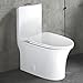 WinZo Elongated One Piece Toilet 3-in Dual Flush with Soft Closing Seat For Modern Bathroom,White (5020)