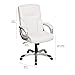Amazon Basics Executive Home Office Desk Chair with Padded Armrests, Adjustable Height and Tilt, Rolling Swivel Chair, 275 Pound Capacity, White and Pewter