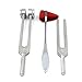 DDP Set of 3 PCS Aluminum Sensory Tuning Forks C 128 512 + Taylor Percussion Hammer Mallet
