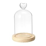 PATIKIL Campana de cúpula de cristal de 4.7 x 3.1 pulgadas, vitrina de cristal transparente con base de madera para plantas de luz LED, decoración del hogar, natural