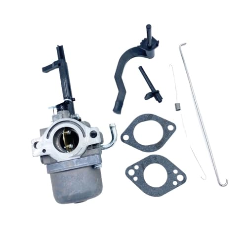 Carburateur pour souffleuse à neige P25 remplace 591378 699966