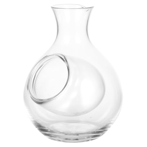 Cabilock Glass Wine Decanter Stylish Ice Wine Dispenser for Bar Elegant Design Safe and Easy to Clean for Wine Lovers and Entertaining