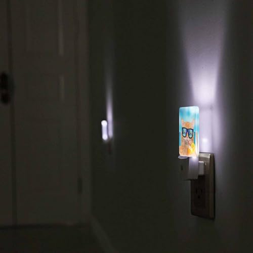 Image of LED Night Light,Funny Cat Sunglasses Relaxing Vacation On Blue Sea LED Night Light Plug into Wall with Dusk to Dawn Light Sensor White Energy Efficient Nightlight for Bedroom Living Room Kitchen