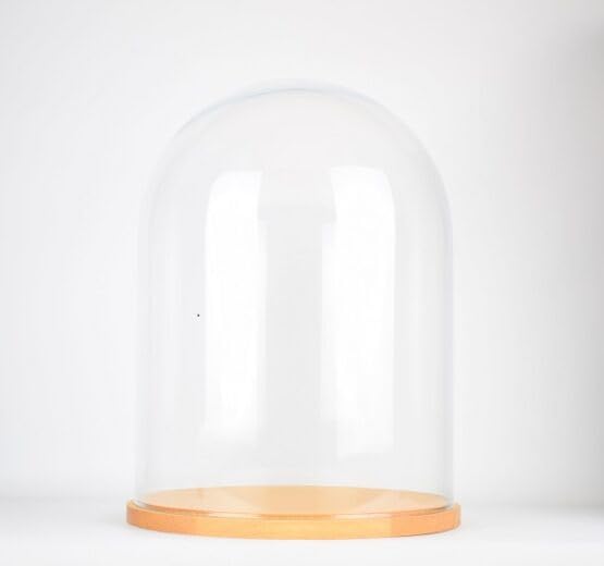 Cloche en verre EMH grand format pour protéger et exposer vos collections